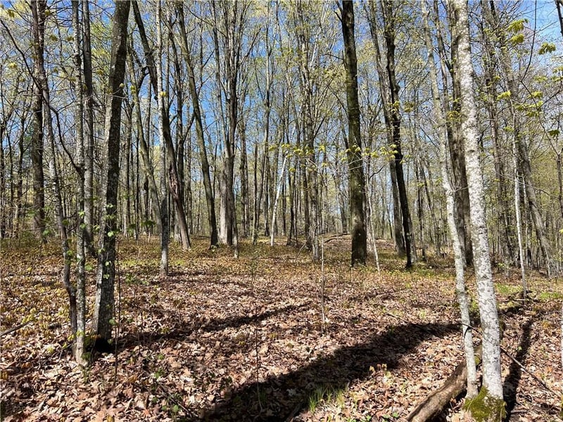 XXX County Hwy Md, Sarona, WI 54870