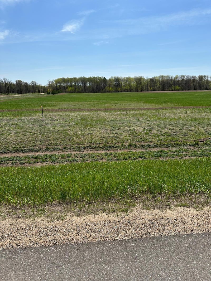 TBD Cr 15, Jenkins, MN 56456