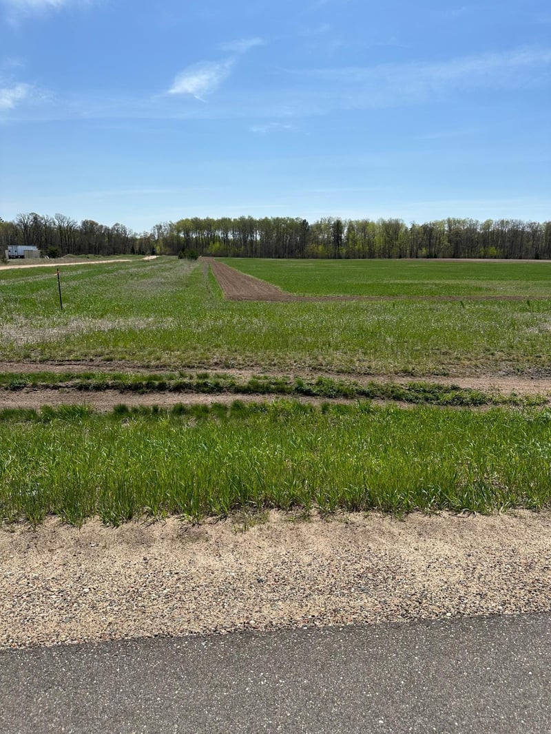 TBD Cr 15, Jenkins, MN 56456