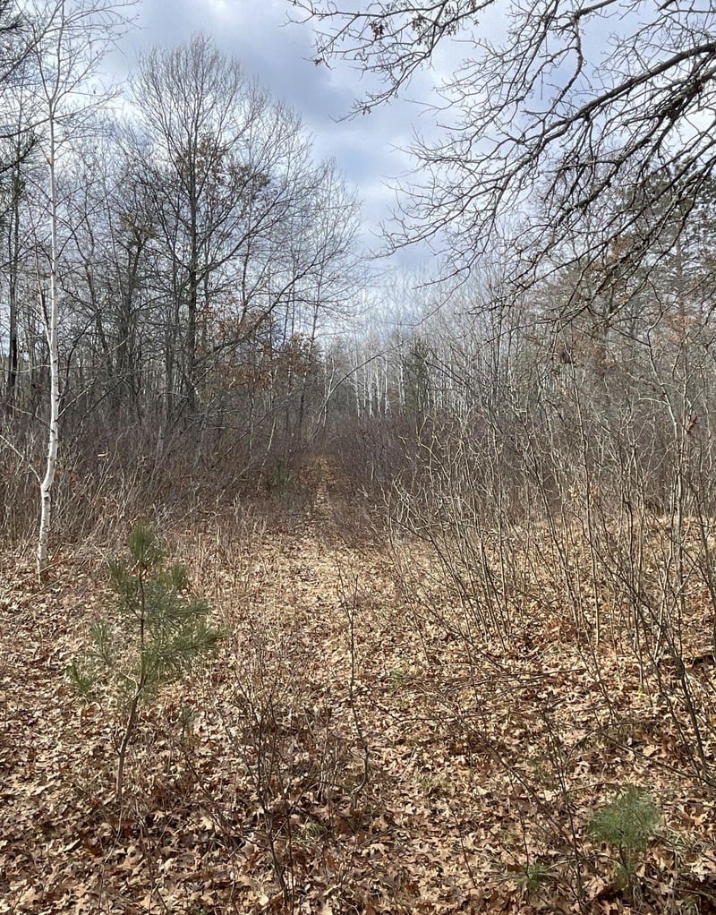 0 Airport Rd, Springbrook, WI 54875