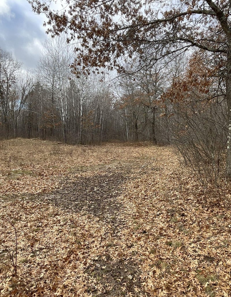 0 Airport Rd, Springbrook, WI 54875