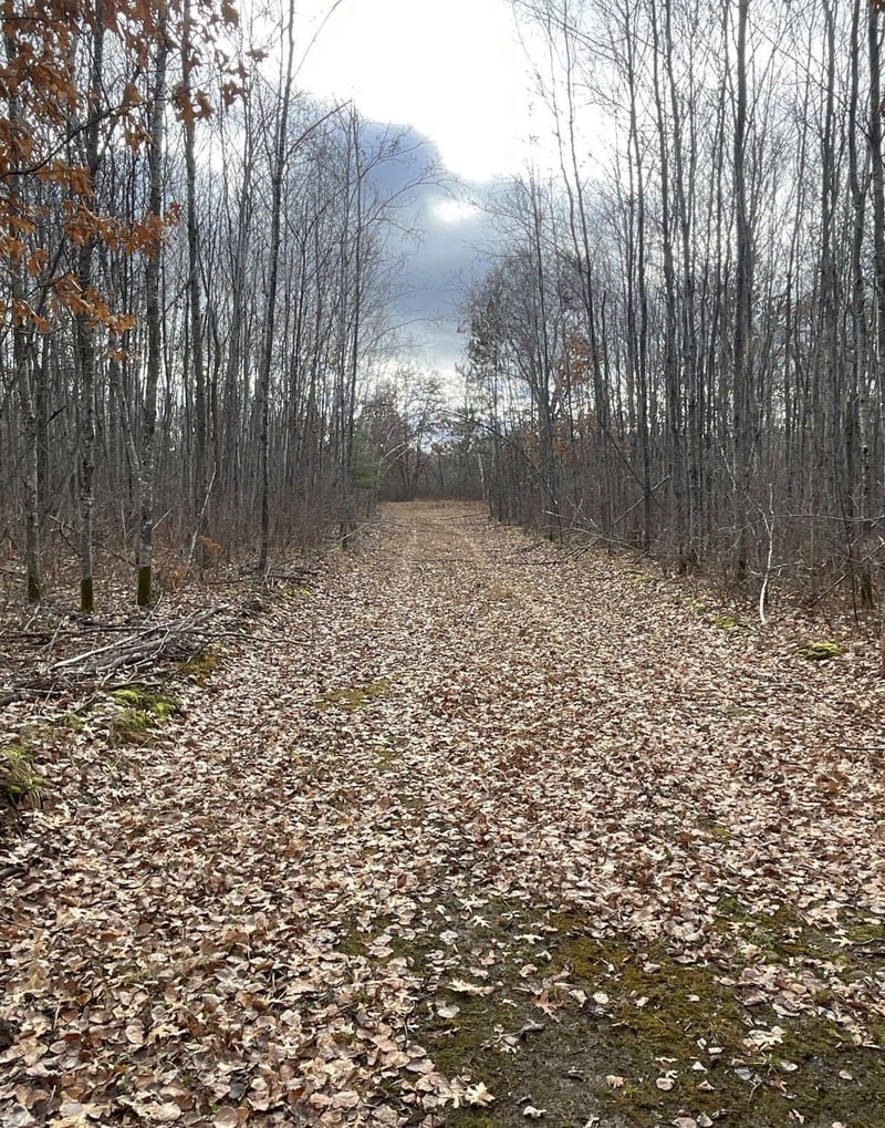 0 Airport Rd, Springbrook, WI 54875