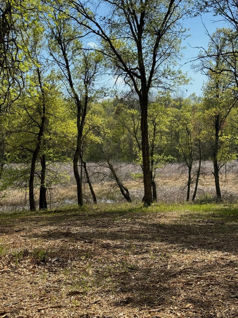 Lot 12 Crystal Lake Dr, Danbury, WI 54830