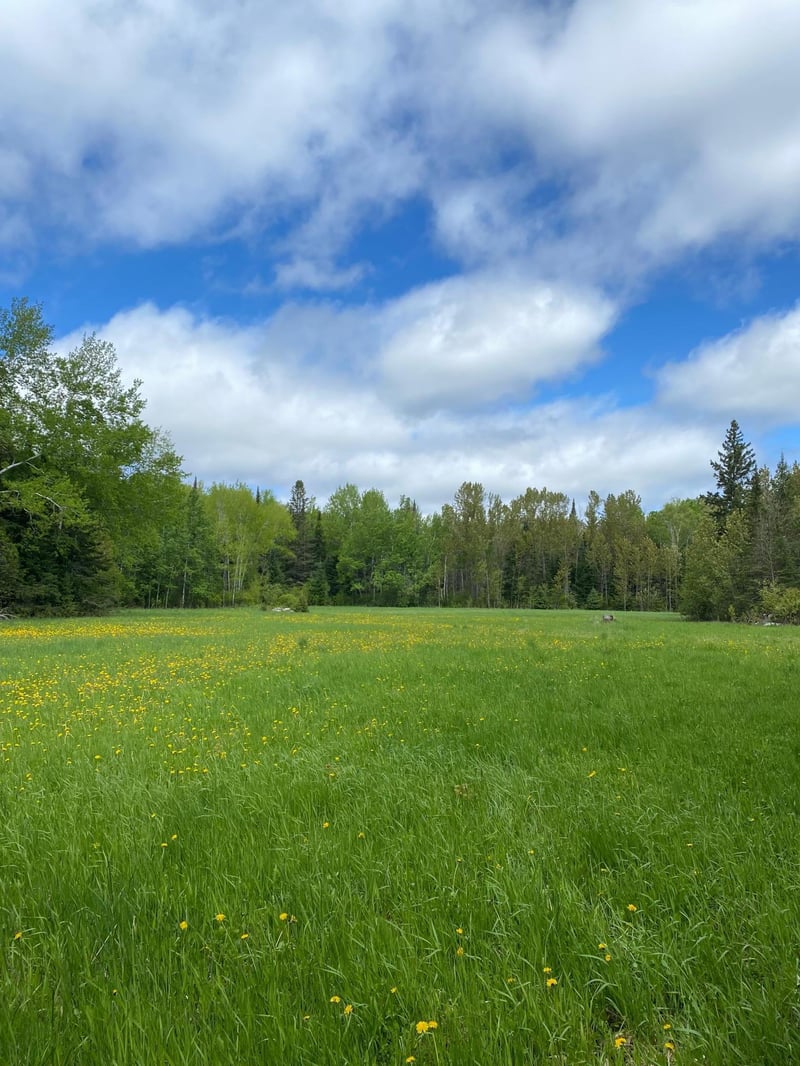 10891 Highway 71, Mizpah, MN 56660