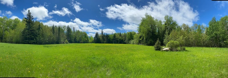 10891 Highway 71, Mizpah, MN 56660