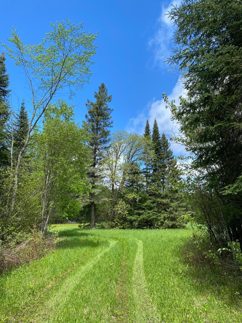 10891 Highway 71, Mizpah, MN 56660