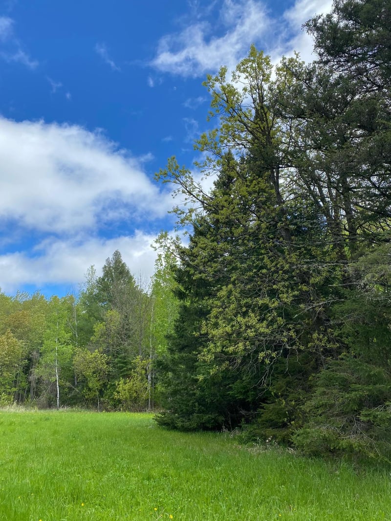 10891 Highway 71, Mizpah, MN 56660