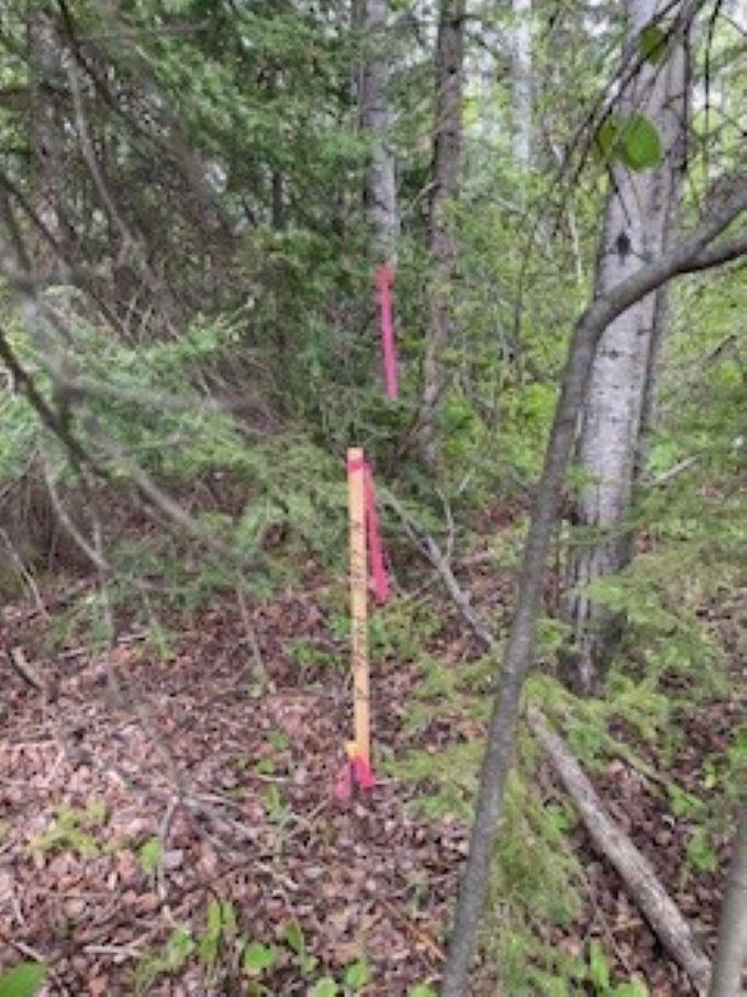 294X County Rd 7, Grand Marais, MN 55604