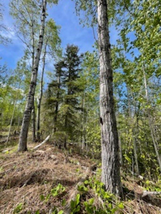 294X County Rd 7, Grand Marais, MN 55604