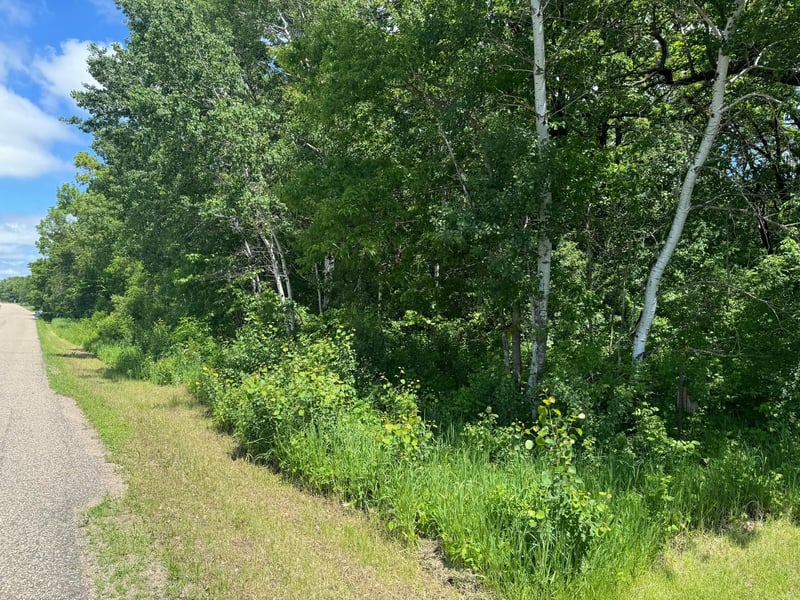 XXX Springbrook Dr, Swanville, MN 56382