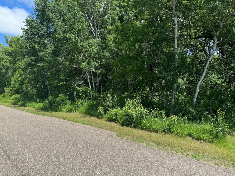 XXX Springbrook Dr, Swanville, MN 56382