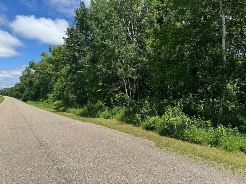 XXX Springbrook Dr, Swanville, MN 56382