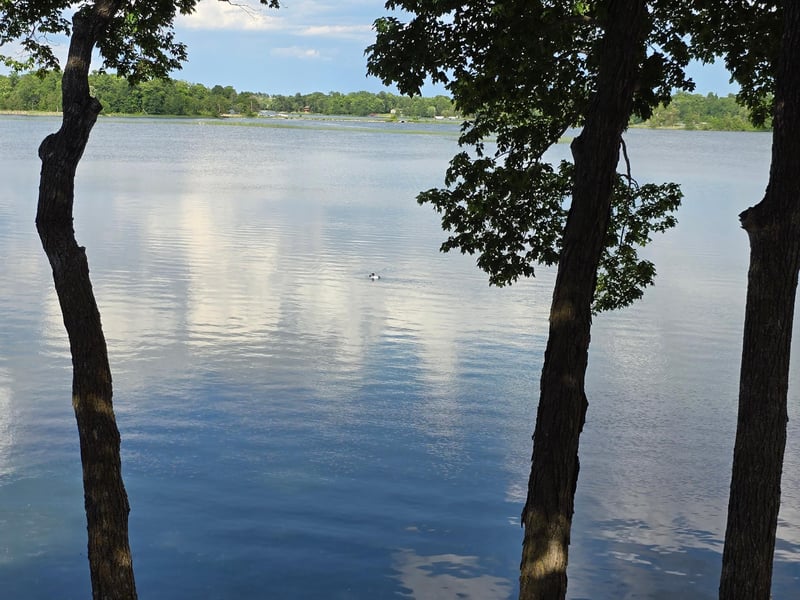 15829 W Little Cormorant Rd, Audubon, MN 56511