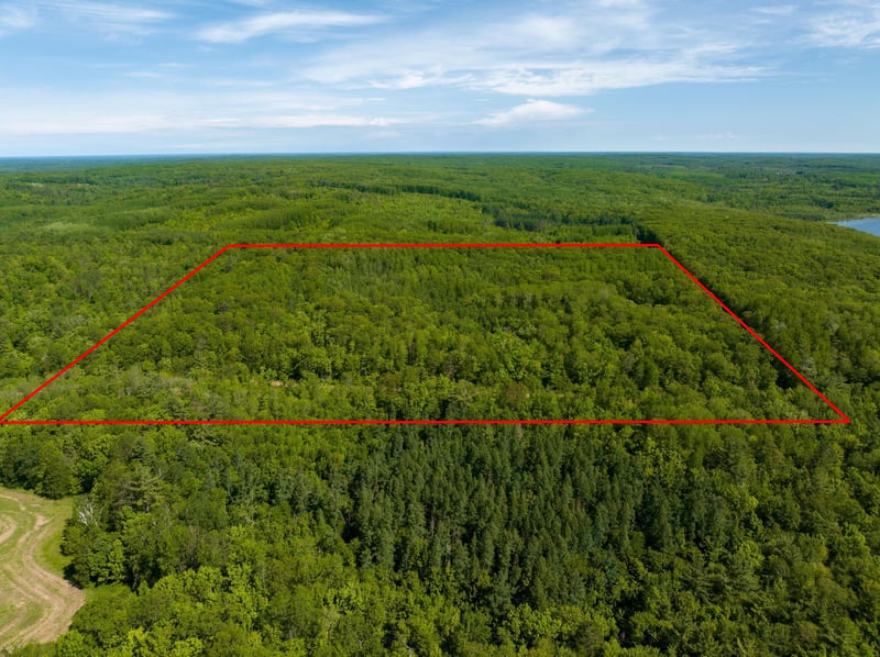 W4504 Western Lake Rd, Springbrook, WI 54875