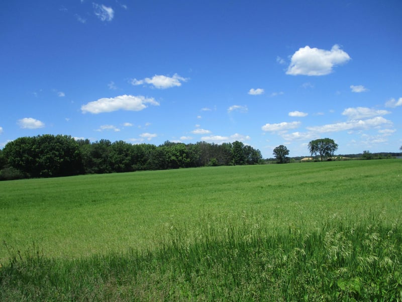 6822 Oneka Lake Blvd N, Hugo, MN 55038