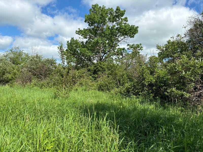 TBD County Road 7, Bagley, MN 56621