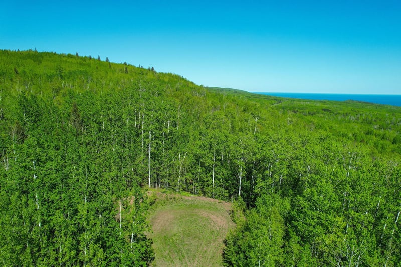 1X Mountain Trl, Grand Marais, MN 55604