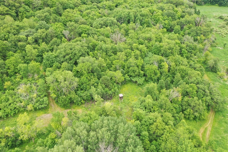 TBD 230th Ave, Erhard, MN 56534