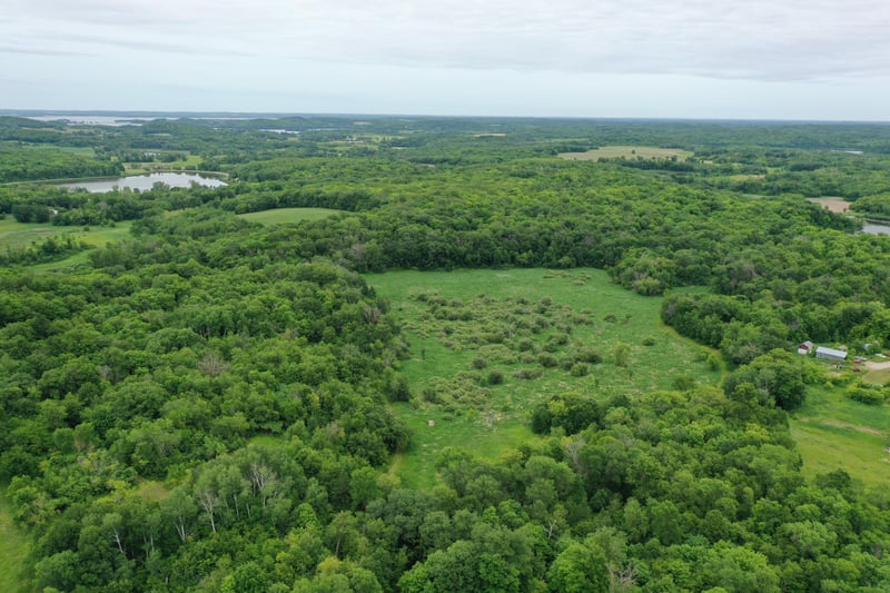TBD 230th Ave, Erhard, MN 56534