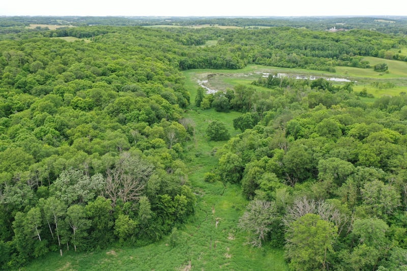 TBD 230th Ave, Erhard, MN 56534