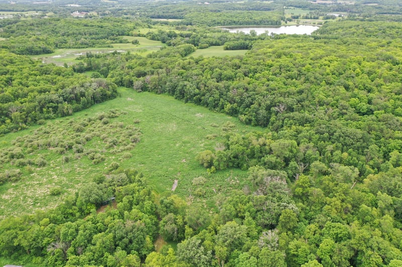 TBD 230th Ave, Erhard, MN 56534