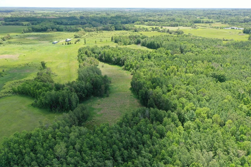 53330 180th St, Osage, MN 56570