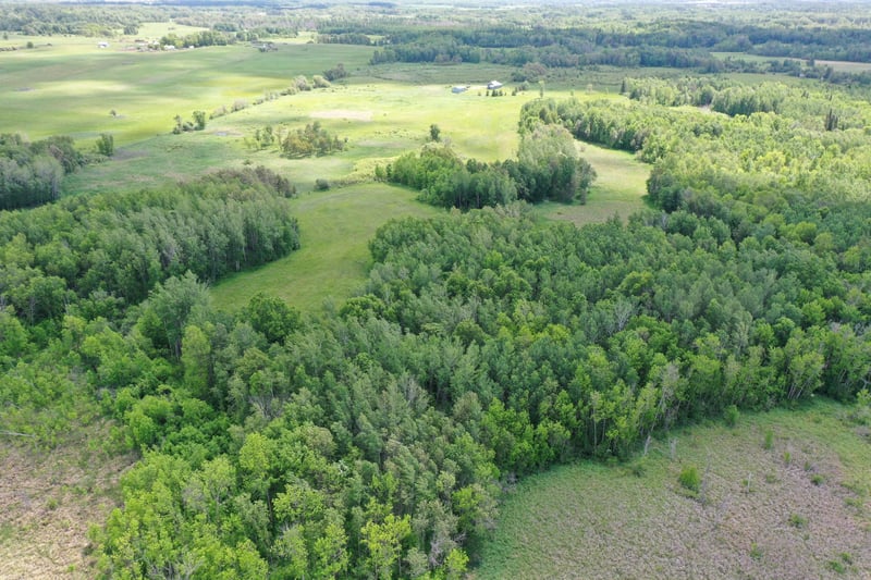 53330 180th St, Osage, MN 56570