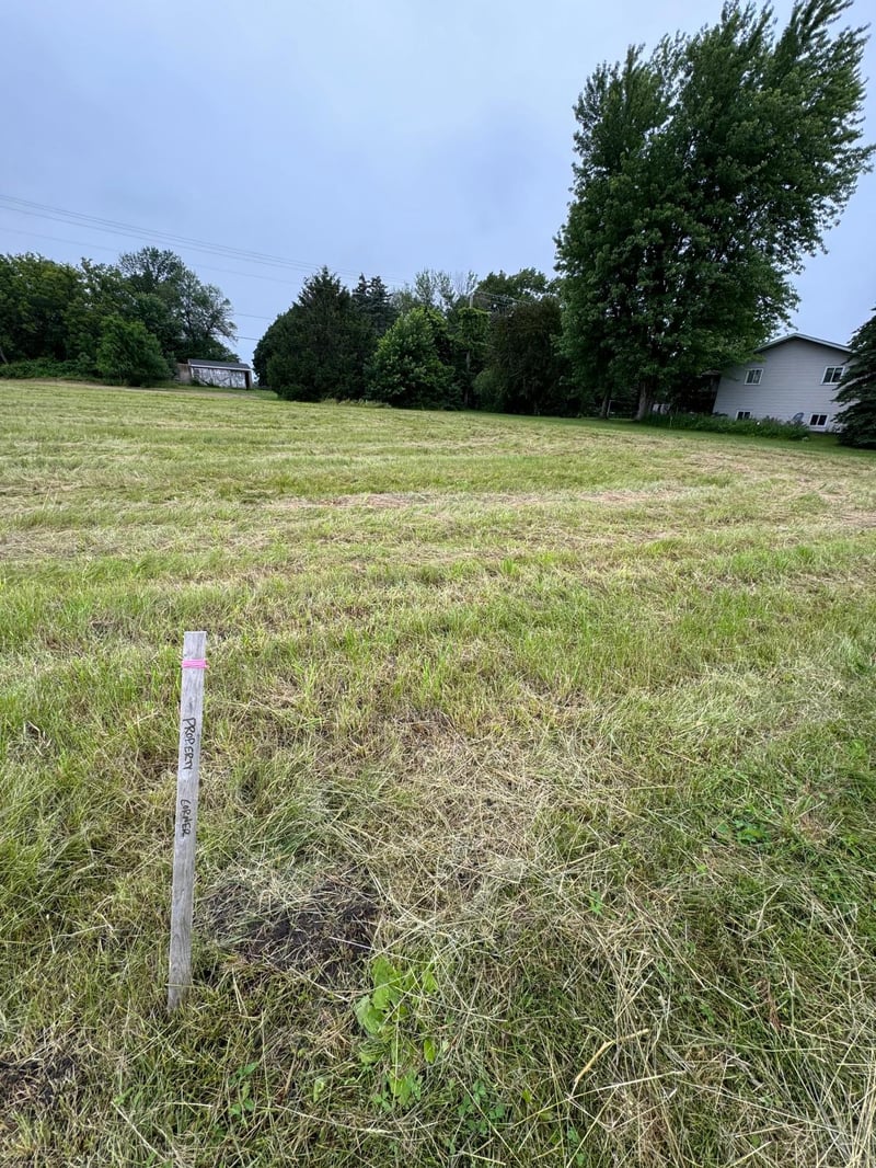 TBD Main St, Wanamingo, MN 55983