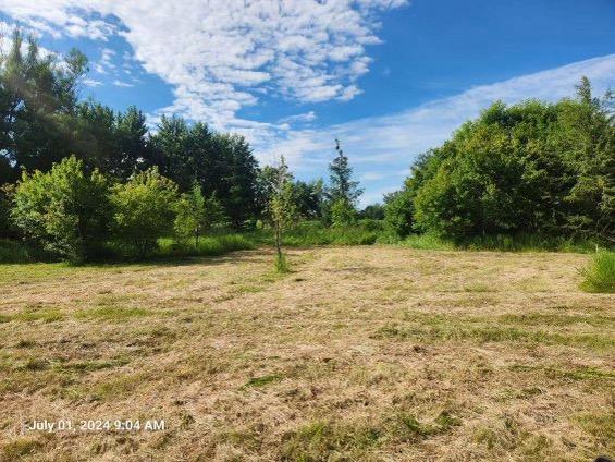14xxx Oakgreen Cir S, Afton, MN 55001