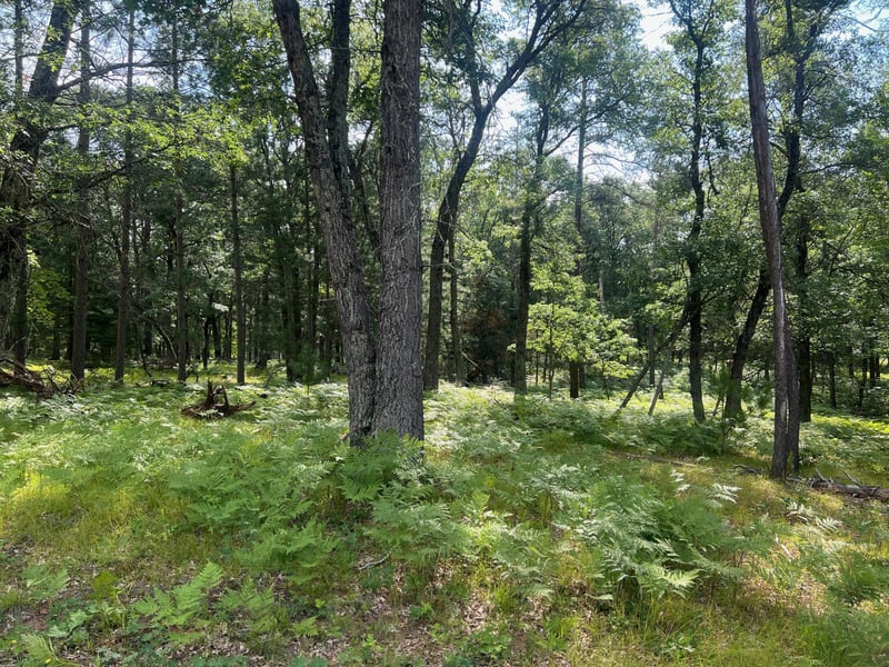 Lot 207 Deerpath Ter, Danbury, WI 54830