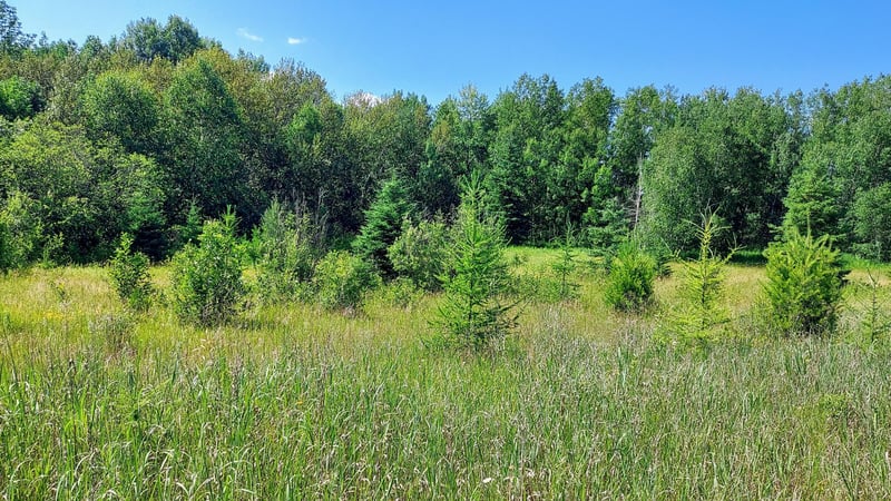 11172 County Road 25, Mizpah, MN 56660