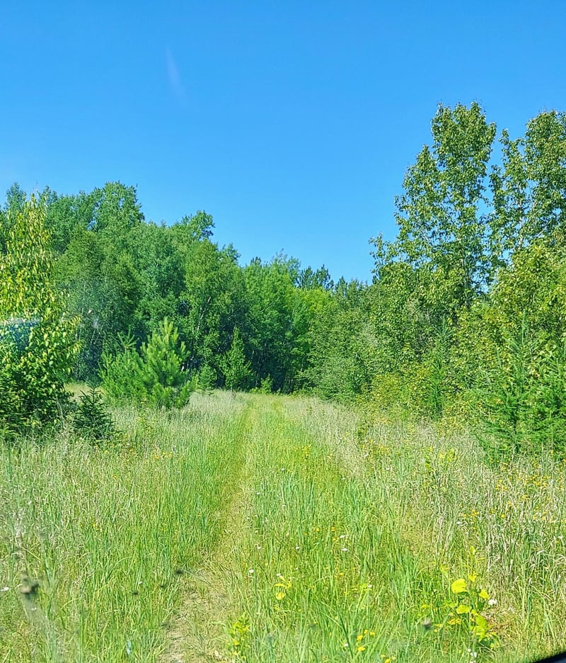 11172 County Road 25, Mizpah, MN 56660