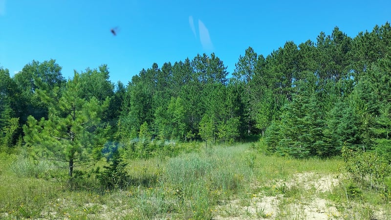 11172 County Road 25, Mizpah, MN 56660