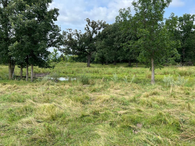 tbd Cannon Rd, Swanville, MN 56382