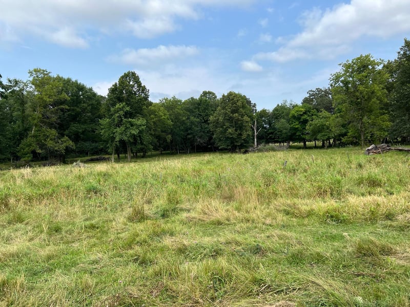 tbd Cannon Rd, Swanville, MN 56382