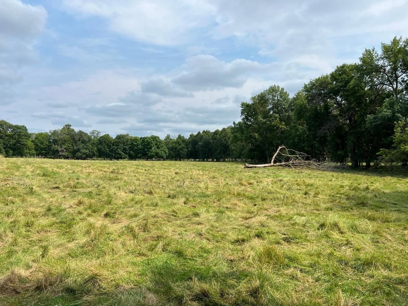 tbd Cannon Rd, Swanville, MN 56382