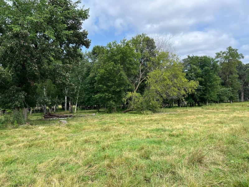 tbd Cannon Rd, Swanville, MN 56382