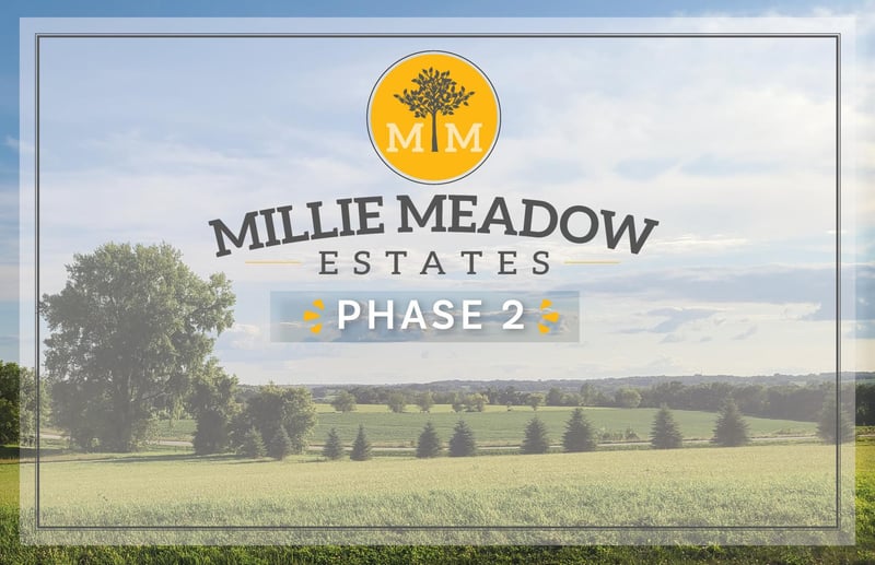 4614 Millie Meadow Dr SW, Rochester, MN 55902