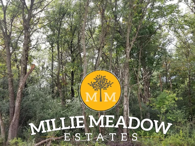 5046 Millie Rd SW, Rochester, MN 55902