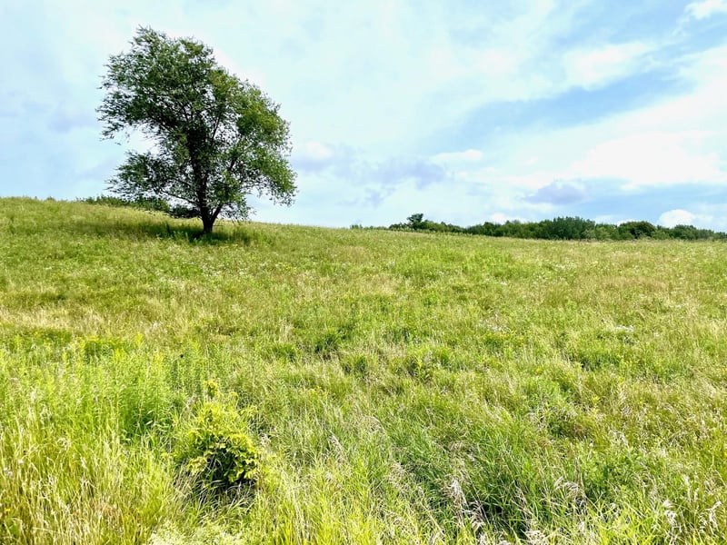 Pt Lot 1 CSM 2811 Amber View St, Menomonie, WI 54751