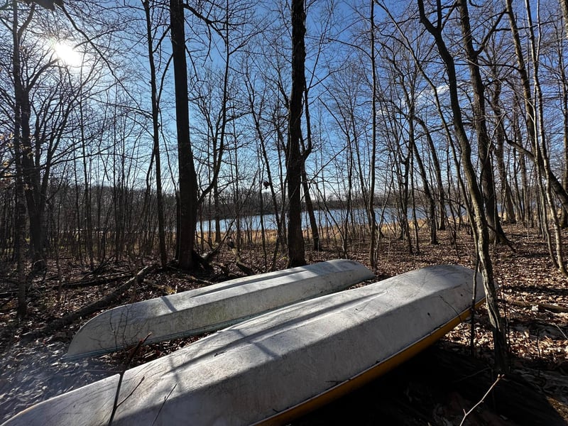 TBD Wilson Lake Dr, Deerwood, MN 56444