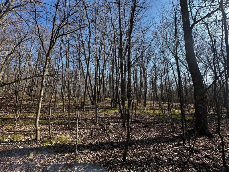 TBD Wilson Lake Dr, Deerwood, MN 56444