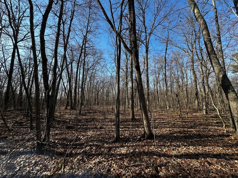 TBD Wilson Lake Dr, Deerwood, MN 56444