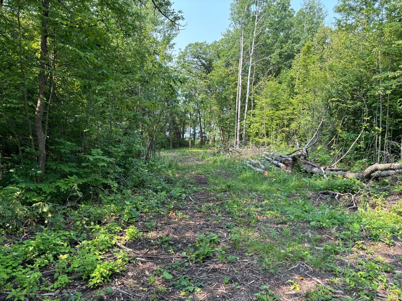1246 Island Lake Resort Dr, Lengby, MN 56651