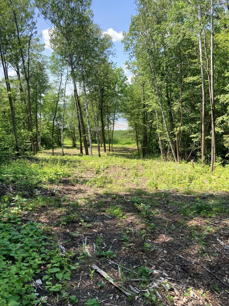 1250 Island Lake Resort Dr, Lengby, MN 56651