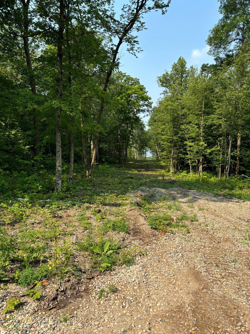 1254 Island Lake Resort Dr, Lengby, MN 56651