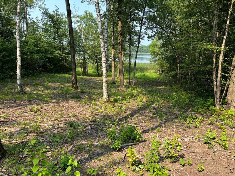 1254 Island Lake Resort Dr, Lengby, MN 56651
