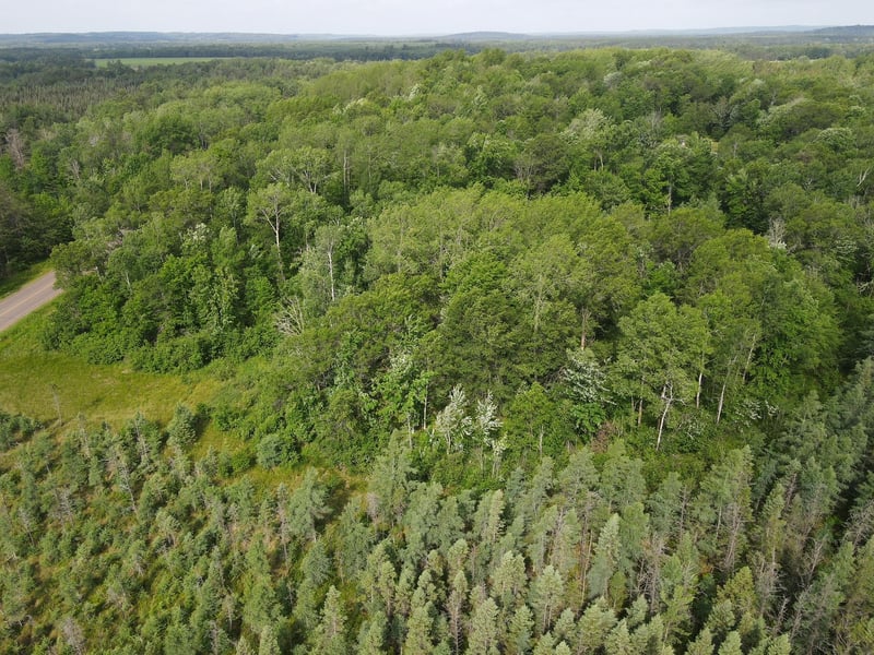 TBD County Highway M, Springbrook, WI 54875