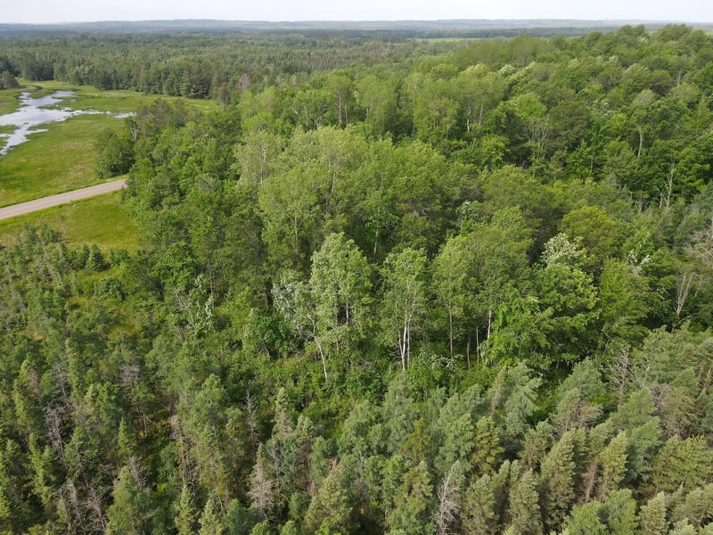 TBD County Highway M, Springbrook, WI 54875