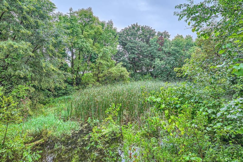 15493 Tungsten St NW, Andover, MN 55303